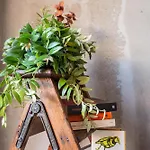 Atelier Randagi Al Pigneto 1&2 Domek alpejski